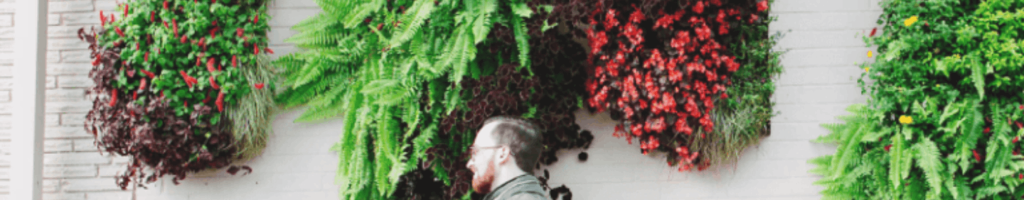 man head, greenery behind