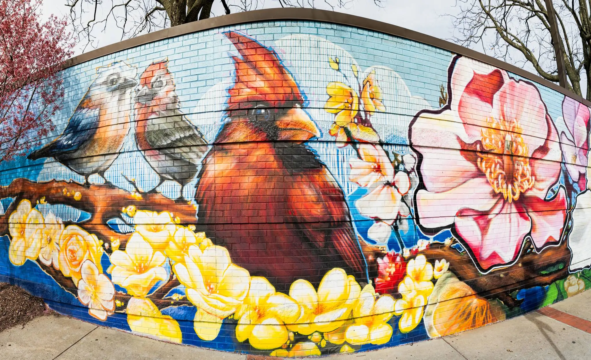 Wall mural with flowers and birds