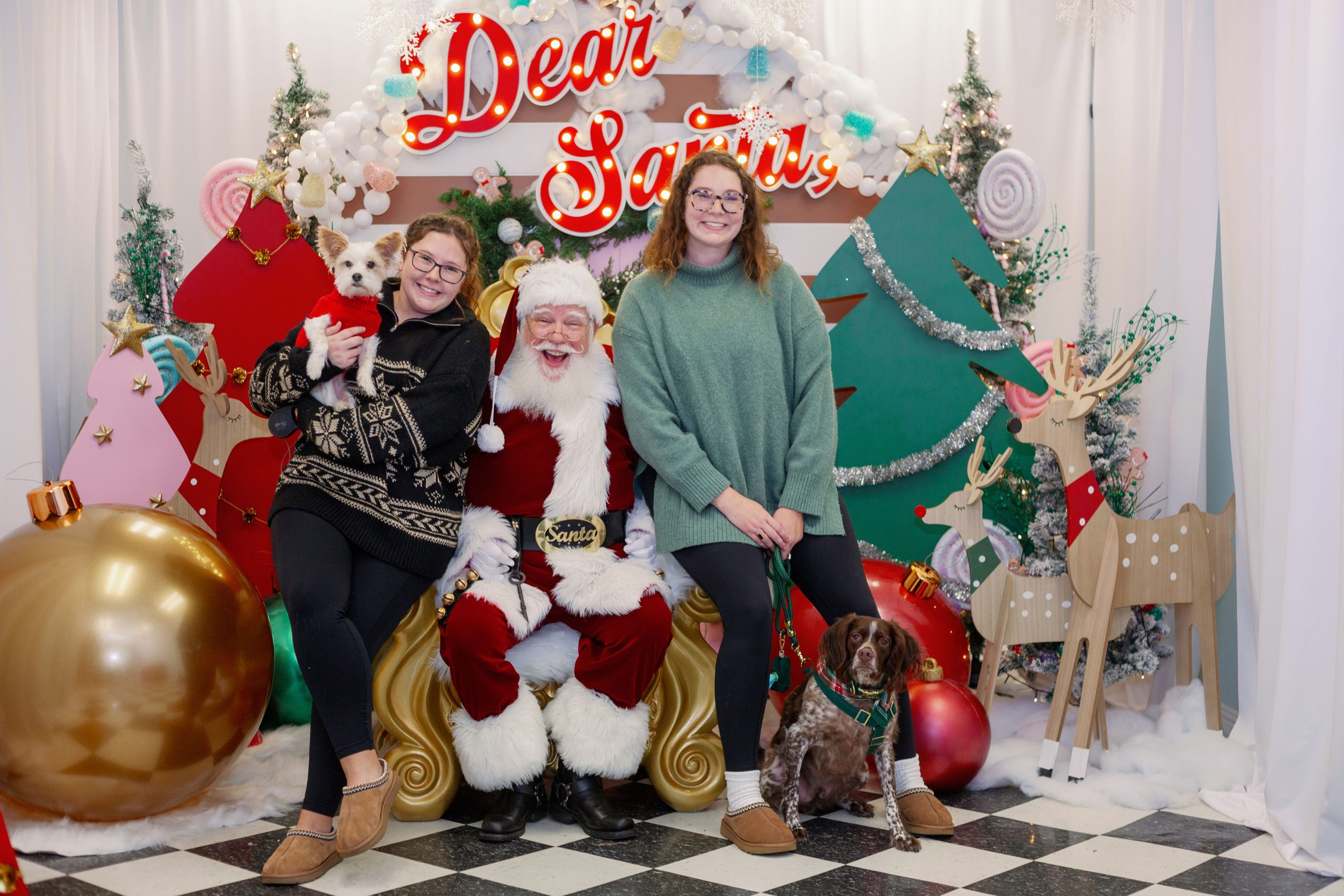 women and their dogs posing for photos with Santa